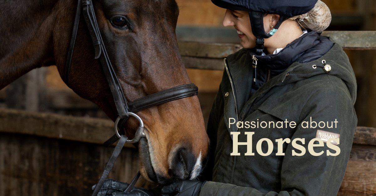 Passionate about Horses