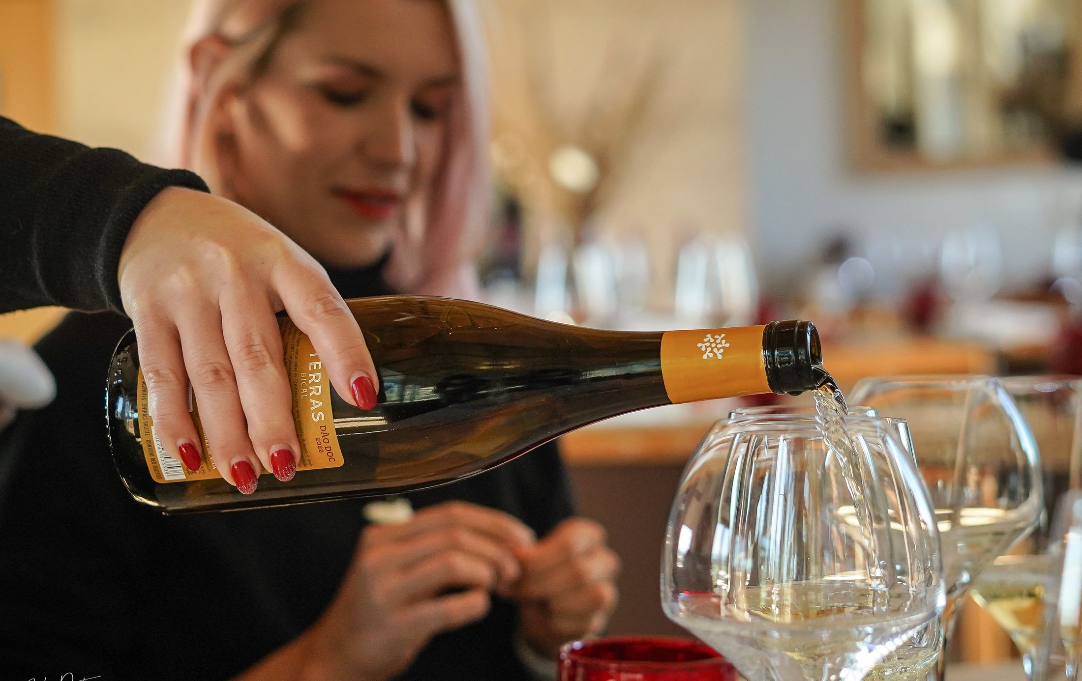 White wine poured into a row of glasses at a tasting.