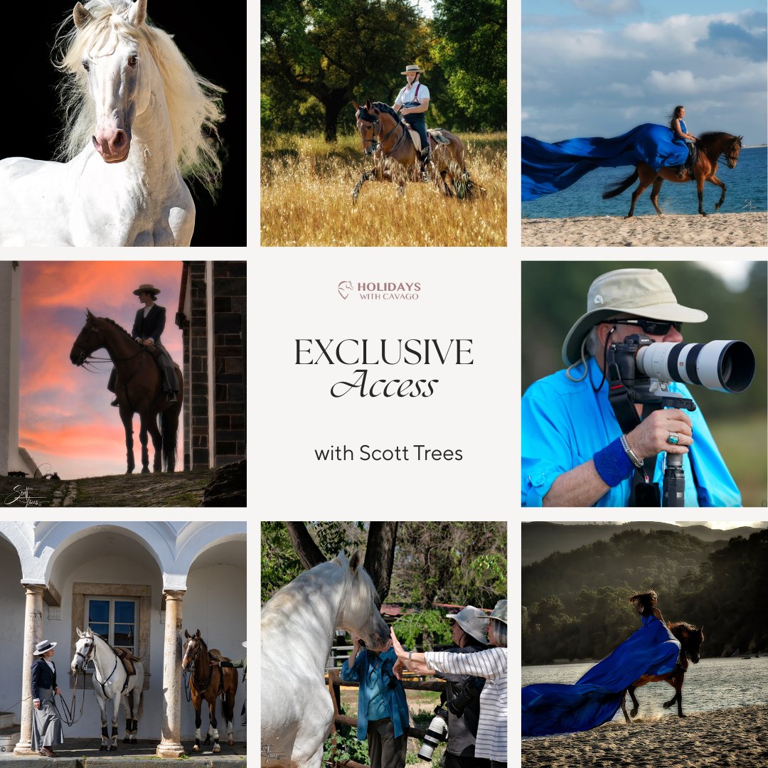 Exclusive Access with Scott Trees