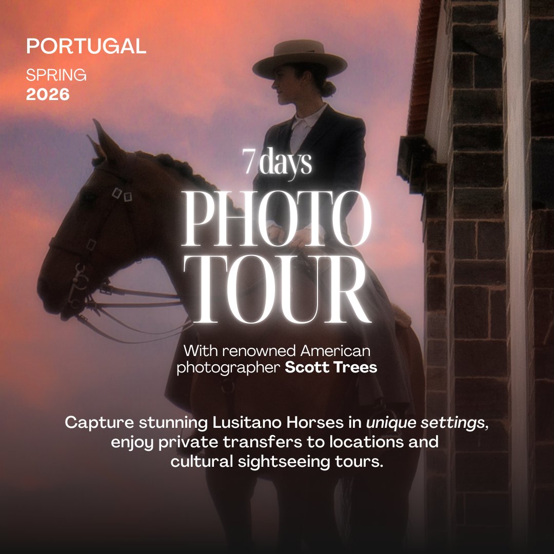 7 Days Photo Tour — Scott Trees